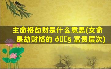 主命格劫财是什么意思(女命是劫财格的 🐧 富贵层次)